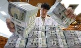 달러,환율,매도,기업,확대,수출기업,올해,규모,선물환