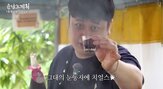 전통주,문화,프리미엄,매출,명소,셰프,은하수,대한민국,부문,주류