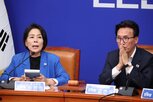 조사,민주당,포인트,비난,하락,대통령