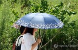 소나기,대부분
