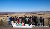 행사,평화,비무장지대,페스타,치유