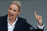 독일,지지율,대표,집권,유로화,유로존,바이델,도입,통화