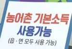 기본소득,지급