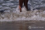 온도,엘니뇨,세계,최고치,해수면