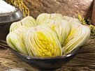 배추,포름알데히드,검사,중국