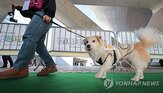 반려동물,펫티켓,보호자,반려견,행동,교육,평가,시험,최종