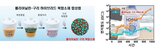구리,부식,연구팀,폴리아닐린,환원,전도성,고분자,산화