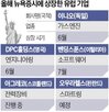 기업,유럽,미국,상장,증시,조달