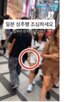 여성,일본