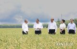 배추,생산,총리,포름알데히드