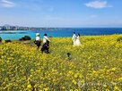 지역,여행,반값,하반기,선정