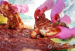 배추,포름알데히드,중국,검사