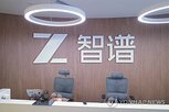 모델,중국산