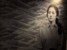 영화,설계,멕시코,전시,한국,관람객,디자인