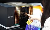 발표,예산안,소상공인,증가,정부,내년도