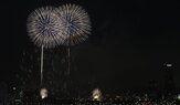 입장권,판매,정가,암표,불꽃축제