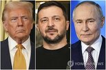 대통령,우크라이나,국장,러시아,미국,푸틴,젤렌스키,정상회담