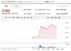 특허,미국,결정형,파립,진행,보호