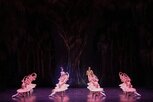 사랑,음악,선율,발레,지젤,작품,차이콥스키,무용수,화려,아당