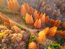 충남,여행객,지역,대만,여행,관광,트립닷컴