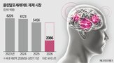 환자,경도인지장애,임상,콜린제제,치매,재평가,기준