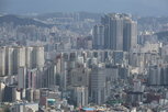 거래,서울,자치구,가장