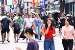 국내,올해,감소