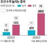 중국,한국,시장,태양광,제조업,경쟁력,세계,철강