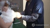 동물병원,진료비,공개,처방,수의사회,반려동물,관련,진료,정보,동물