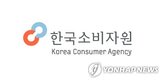 차량,항로,조사,여객선,선착장