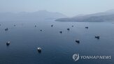 해협,호르무즈,피격