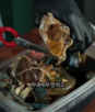 블루크랩,어민,이탈리아,현지,꽃게