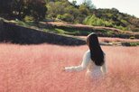여행,가을,축제,수요,지역,지역축제,업계,주요,인근,콘텐츠