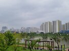 하남,미사,하남시,경유,서울,거래,노선,요구,황산,집값