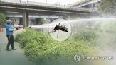 모기,지수,실시간,올해,다시,기온,전주