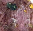 점주,유리조각,본사,과정,주장,잘못