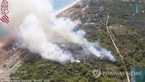 산불,기후변화,증가,공기,대한,공기질,입자