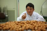 인공지능,대신제과,공정,사업,호두과자,관리,시스템,자동화,생산,천안