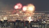 불꽃놀이,조류,행사,시민,연구,영향,연구진,불꽃축제,결과,미세먼지