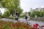 아들,돌봄,부담,손녀,조부모,양육비