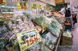 증가,물가,일본,상승