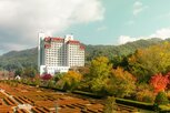 지역,기획전