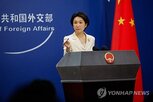 사다리,중국,발전,경제,글로벌사우스,주장,산업