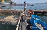 피해,보험금,수온,어가,해수부