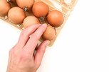 살모넬라균,음식,감염증,섭취,계란,환자