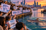 상어,외해,유도,연휴,추석,수로,친수공원,북항,이동