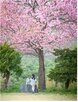 농식품부,사진,선정