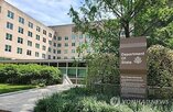 한국,아동,미국,협약,송환,비자,제한,부모,사건
