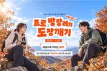 이벤트,명소,가을