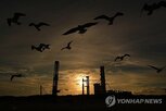 스타십,스페이스,비행,궤도,스타링크,발사